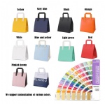 Customizable Non-Woven Cooler Bags with Logo Insulated Takeout and Food Delivery Bags in Custom Colors